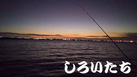 南芦屋浜へタチウオを釣りに行きました。