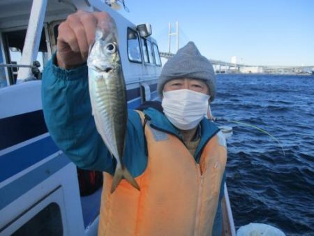 あい川丸 釣果