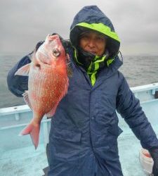 東京湾探釣隊ぼっち 釣果