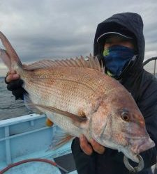 東京湾探釣隊ぼっち 釣果