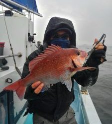 東京湾探釣隊ぼっち 釣果