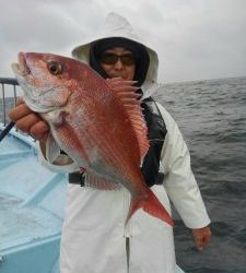 東京湾探釣隊ぼっち 釣果