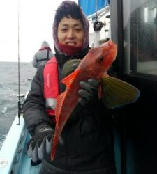 東京湾探釣隊ぼっち 釣果