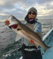 東京湾探釣隊ぼっち 釣果