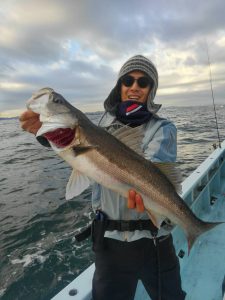 東京湾探釣隊ぼっち 釣果