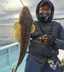 東京湾探釣隊ぼっち 釣果