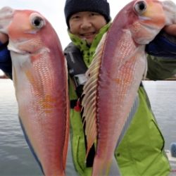 鯛紅丸 釣果