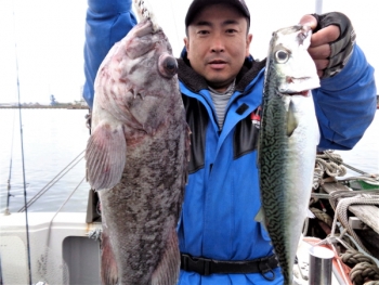 鯛紅丸 釣果