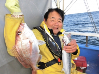 鯛紅丸 釣果