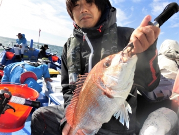 鯛紅丸 釣果