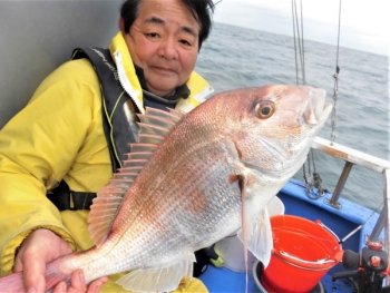 鯛紅丸 釣果