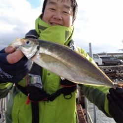 鯛紅丸 釣果