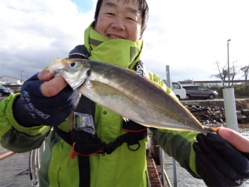 鯛紅丸 釣果