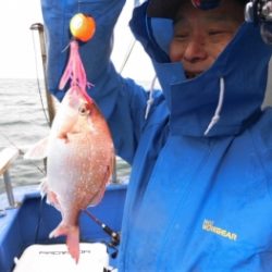 鯛紅丸 釣果