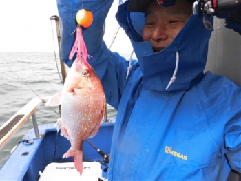 鯛紅丸 釣果