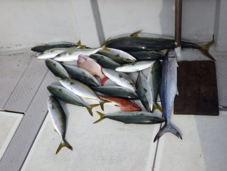 えすぽあ 釣果