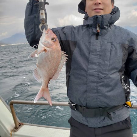 海季丸（みきまる） 釣果