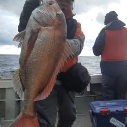 飛燕さくら丸 釣果