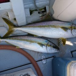 海龍丸（福岡） 釣果