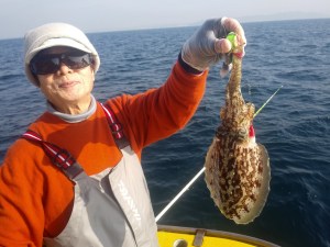 濱生丸 釣果