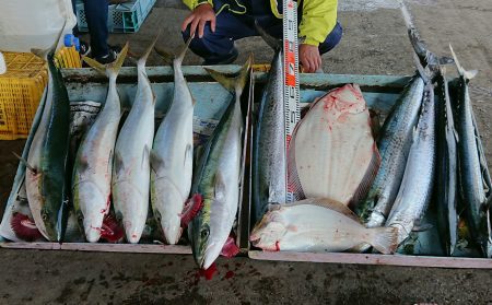 明神釣船 釣果