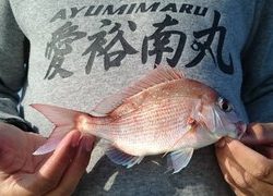 愛裕南丸 釣果