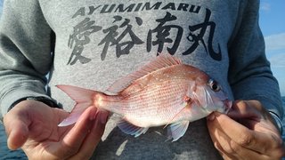 愛裕南丸 釣果