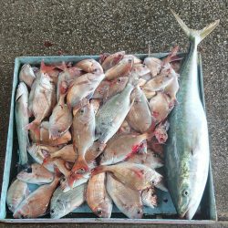 明神釣船 釣果