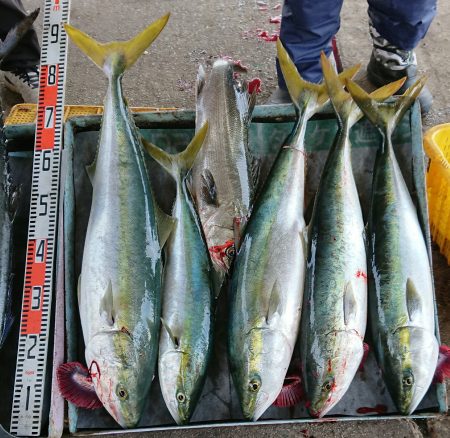 明神釣船 釣果