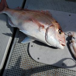 珀宝丸 釣果