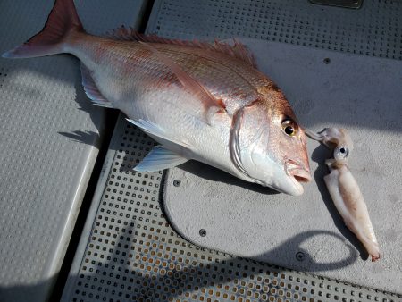 珀宝丸 釣果