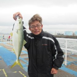 オリジナルメーカー海づり公園(市原市海づり施設) 釣果