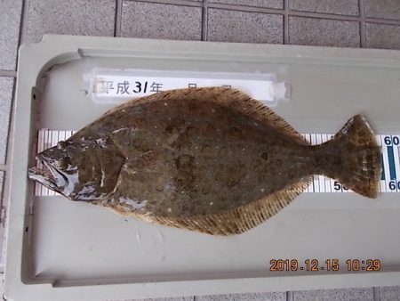 姫路市立遊魚センター 釣果