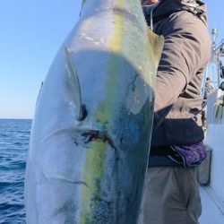 浅間丸 釣果