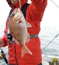 遊漁船　ニライカナイ 釣果