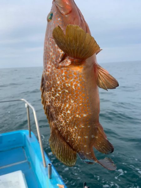 宝昌丸 釣果