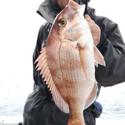 遊漁船　ニライカナイ 釣果