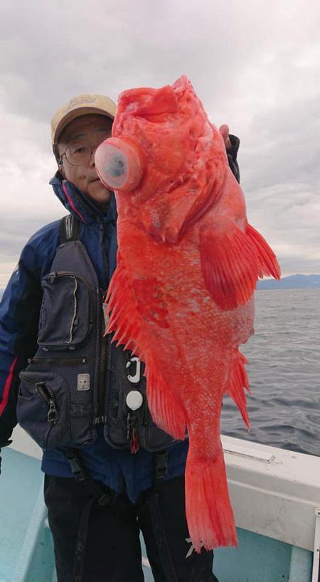 結愛丸 釣果