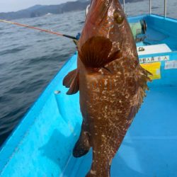 宝昌丸 釣果