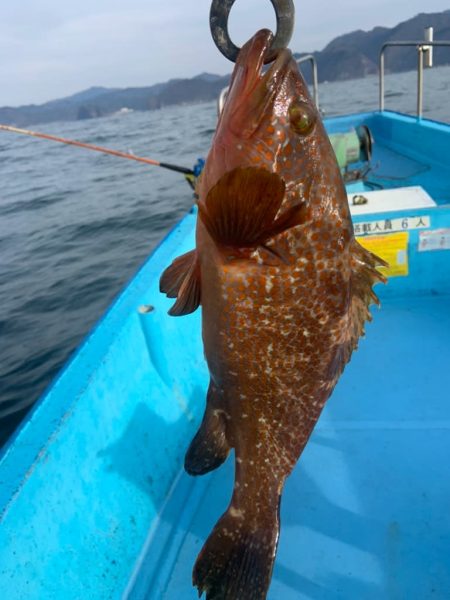 宝昌丸 釣果