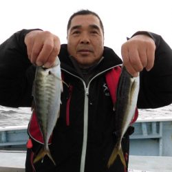 まとばや 釣果