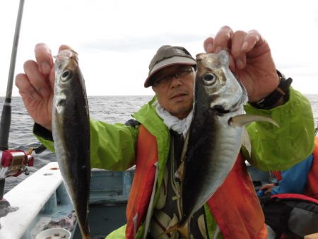 まとばや 釣果