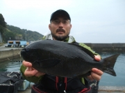 春日丸 釣果