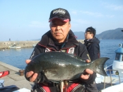 春日丸 釣果