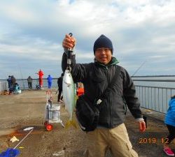 鹿島港魚釣園 釣果