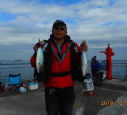 鹿島港魚釣園 釣果