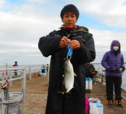 鹿島港魚釣園 釣果