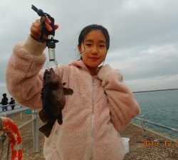 鹿島港魚釣園 釣果