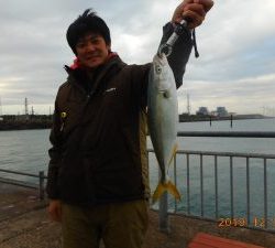 鹿島港魚釣園 釣果