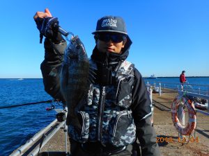 鹿島港魚釣園 釣果